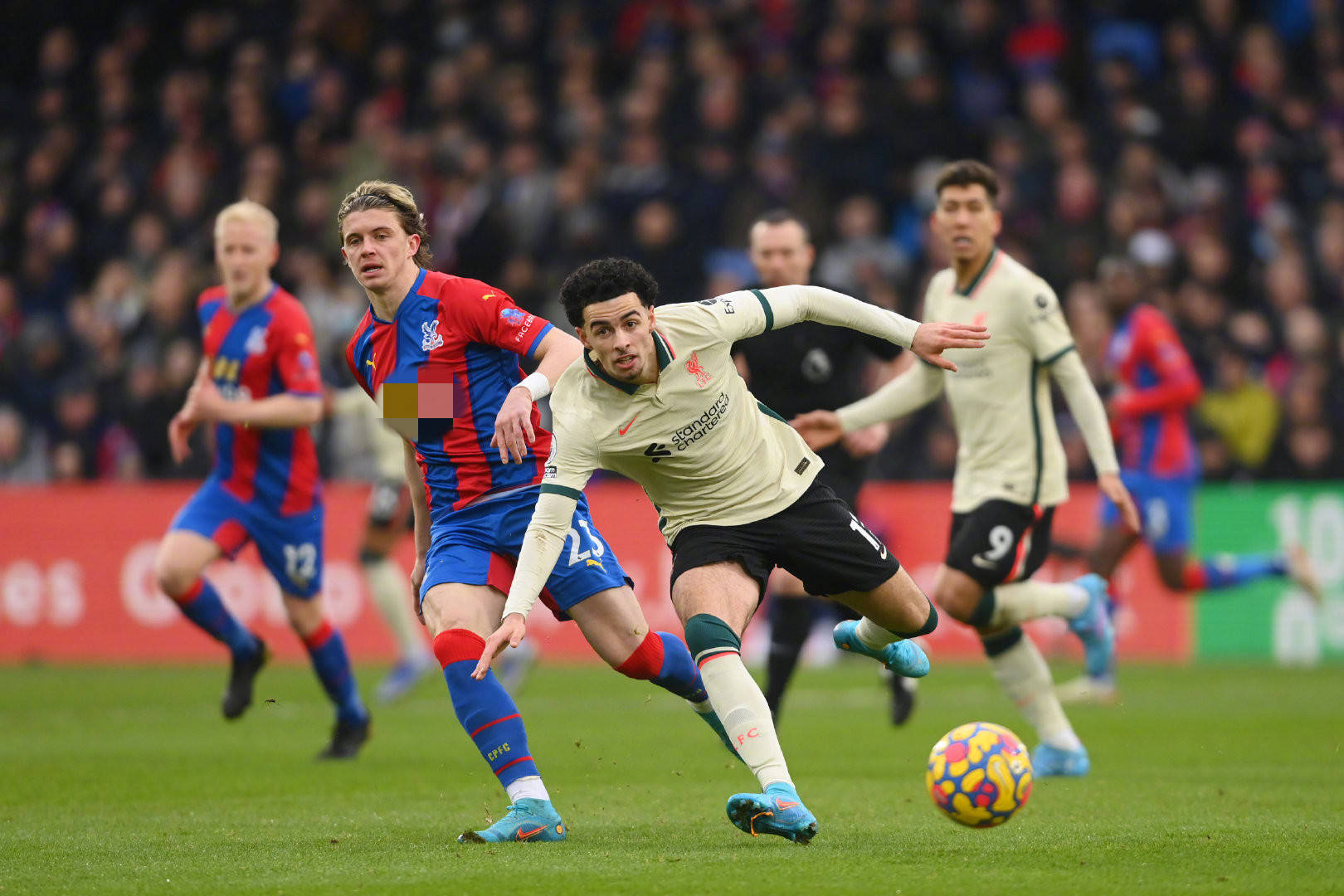 这些美国人 这些美国人